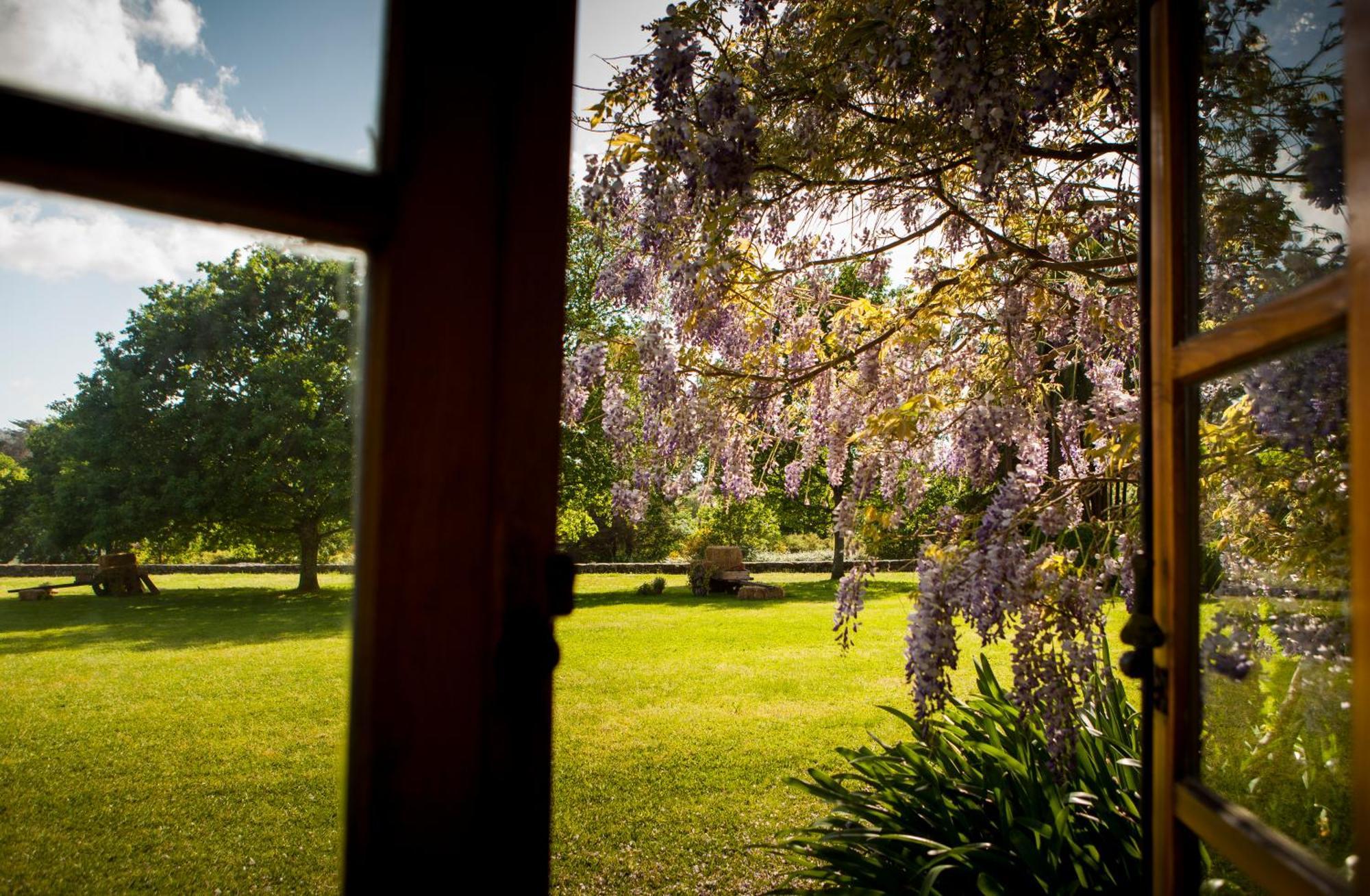 Pazo Da Touza Pension Nigrán Buitenkant foto